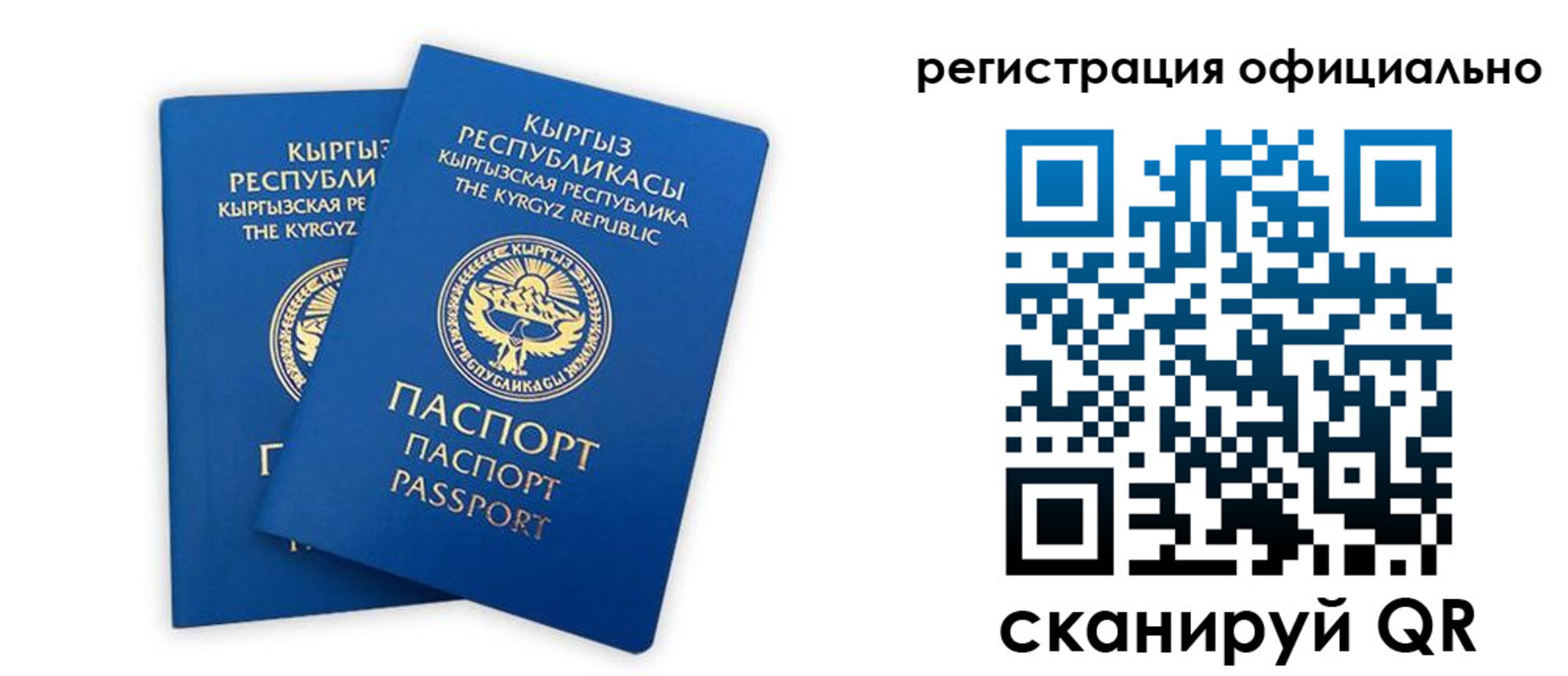 прописка поиск в Находке